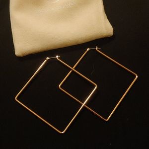 Uncommon James earrings